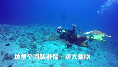 在顿涅茨克地区，当地的人民主要讲的是什么语言？游戏画面